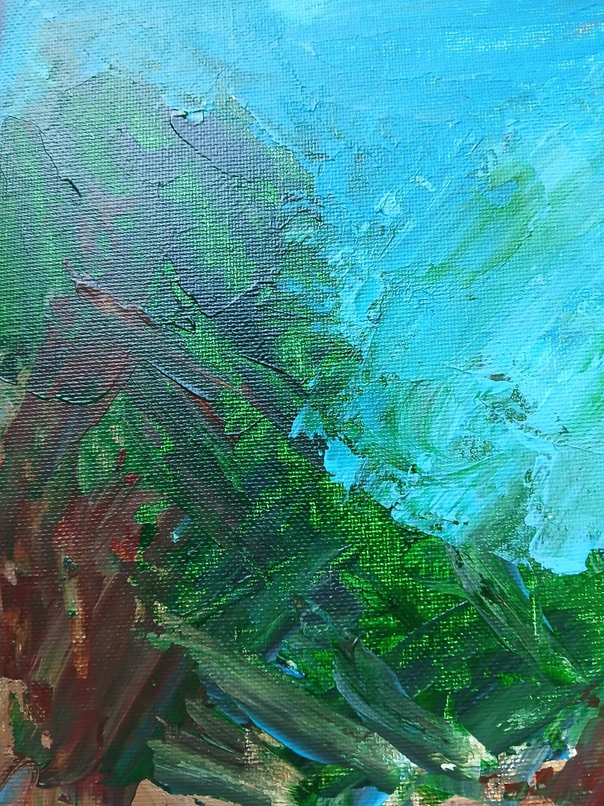 45508904
