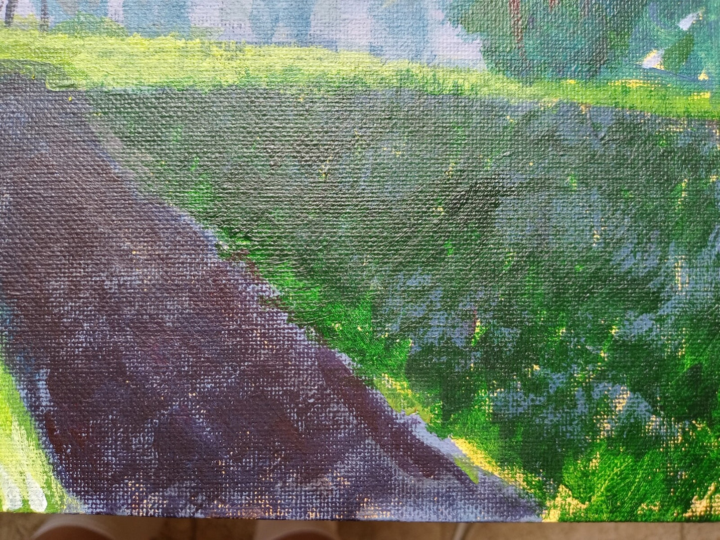 45670599