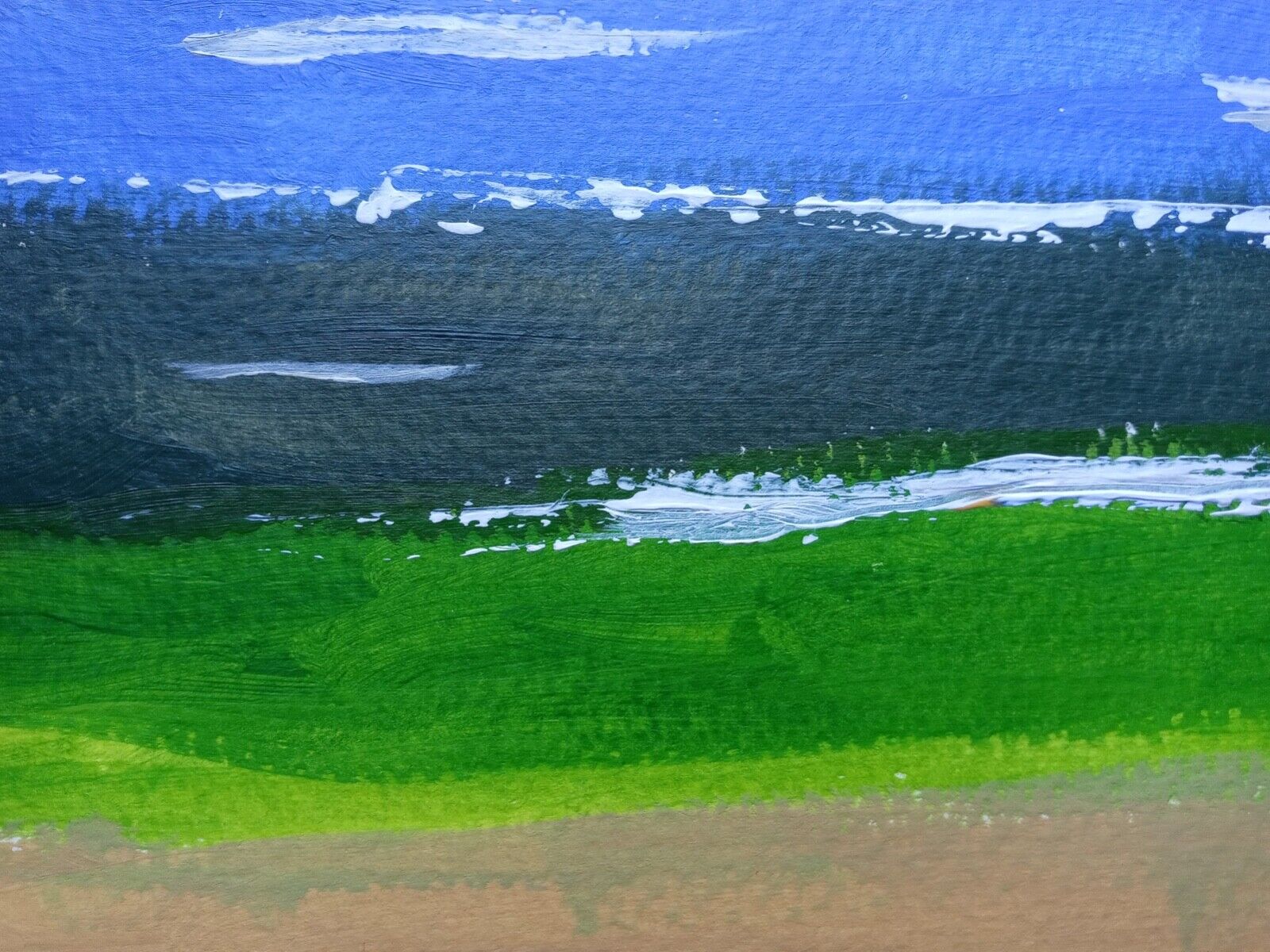 44603788