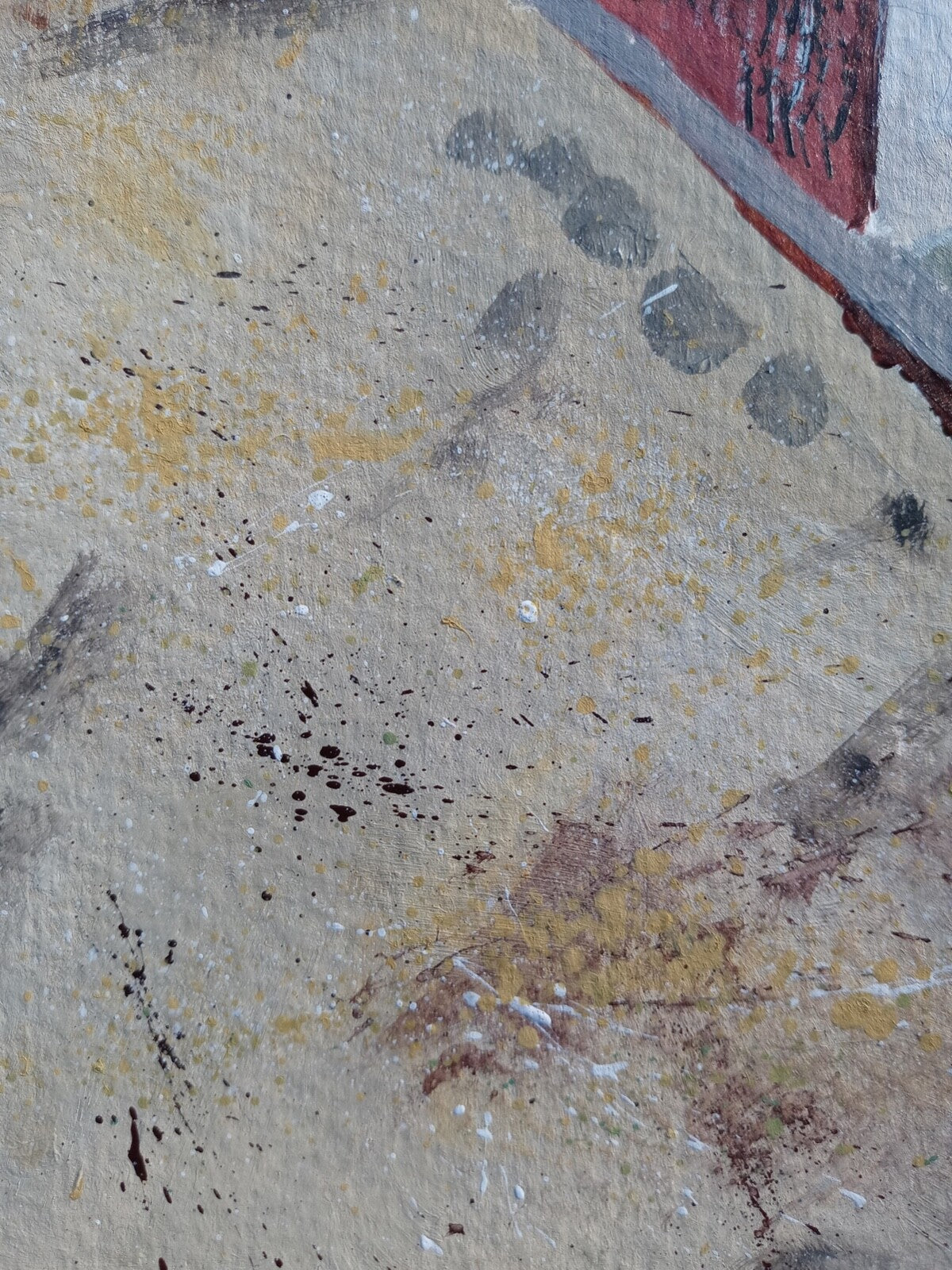 45544888